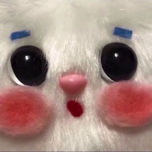 Meet your Posher, Mengyuan